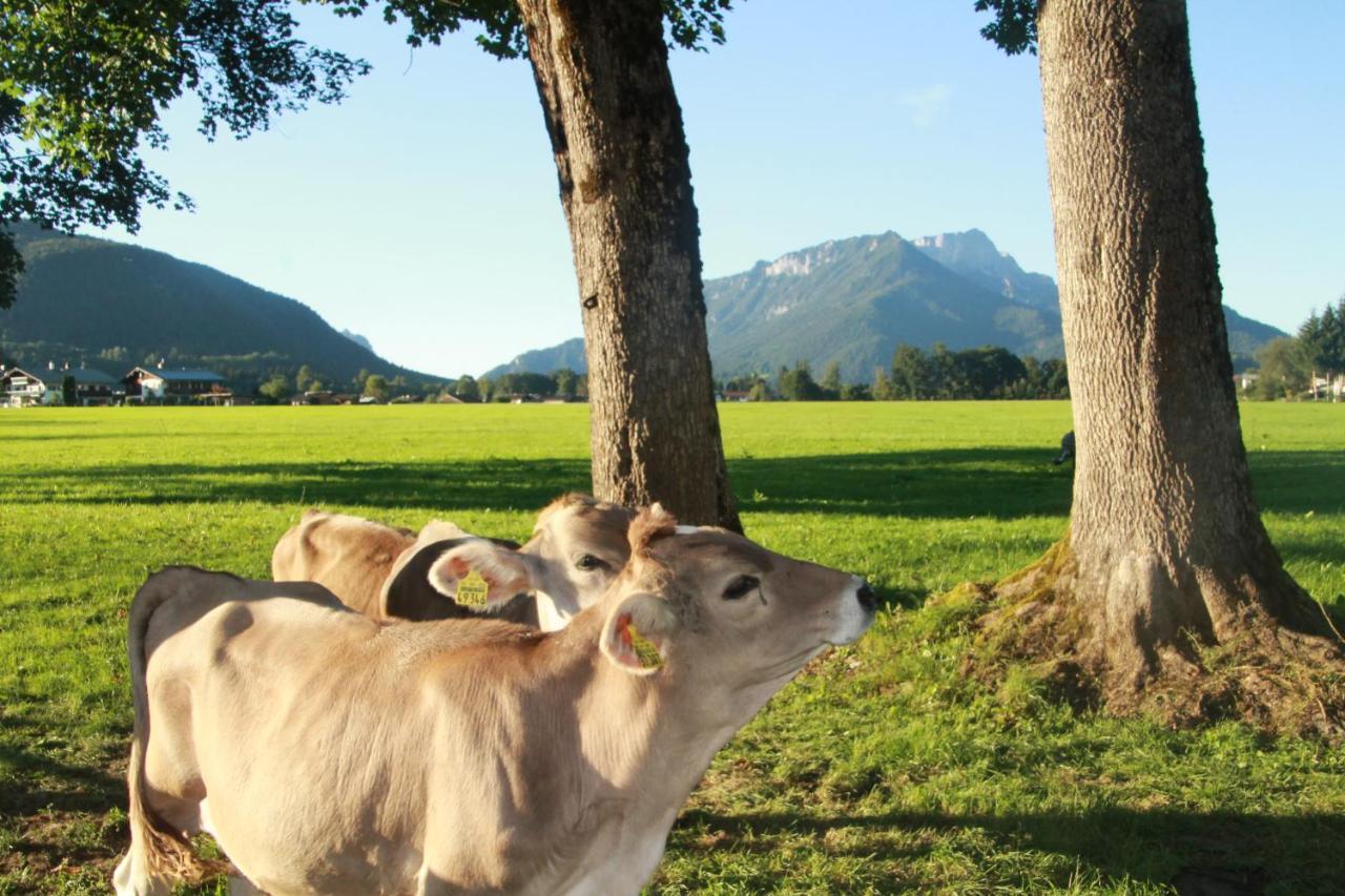 Vintage Kammerl Schönau am Königssee Εξωτερικό φωτογραφία