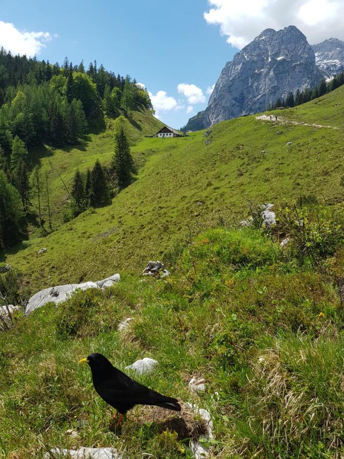 Vintage Kammerl Schönau am Königssee Εξωτερικό φωτογραφία
